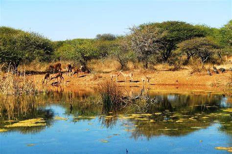 Polokwane