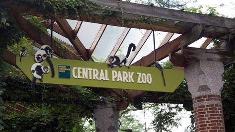 Central Park Zoo Security