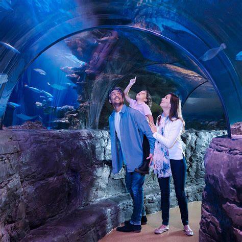 Sea Life Helsinki