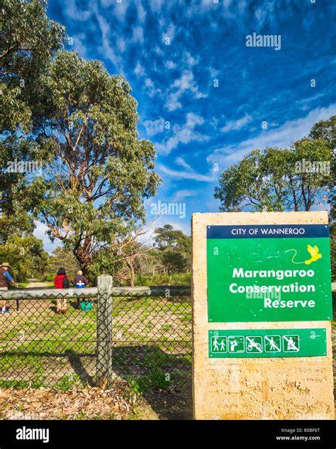 Marangaroo